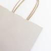 Stone Premium Italian Paper Carrier Bags with Twisted Handles