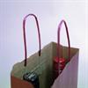 Italian Bordeaux Paper Two Bottle Bag with Twisted Handles