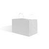 White Wide Base Paper Carrier Bags With Twisted Handles