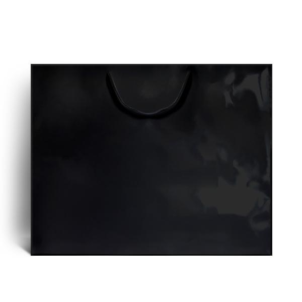 Black Gloss Boutique Paper Bags